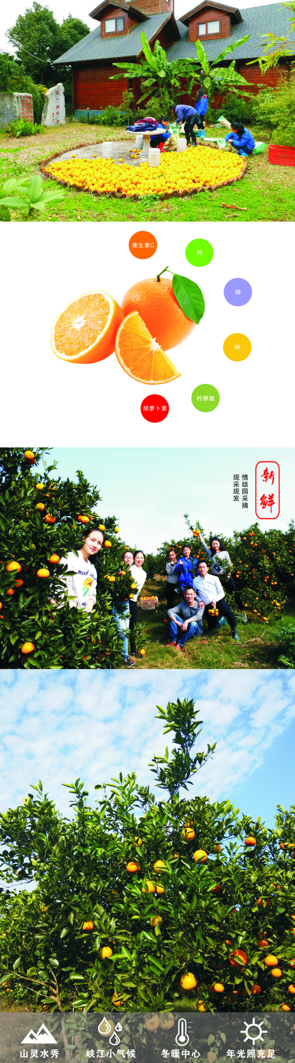 寶貝詳情.jpg